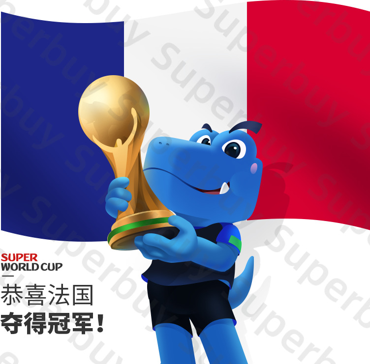 France wins the World Cup