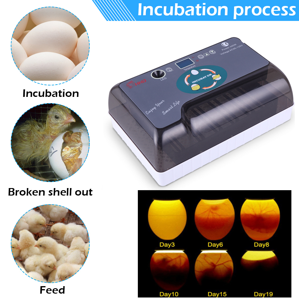 Egg incubator fully automatic intelligent chicken duck turtle bird egg incubator machine small household incubator 12 pieces